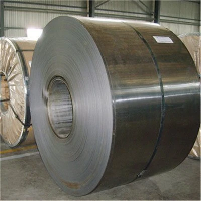 P6 sample coil cold steel