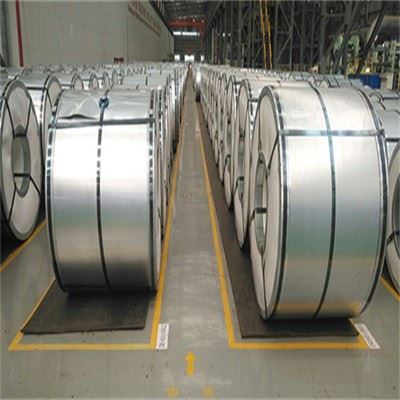 P6 Sample Coil Cold Steel
